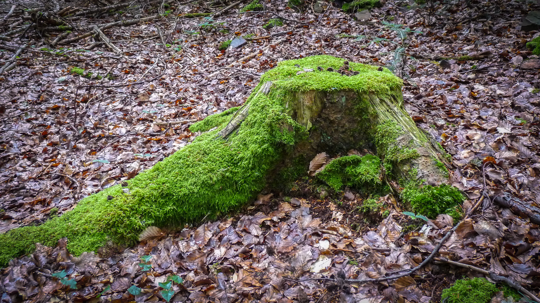 20210725102248 1130836